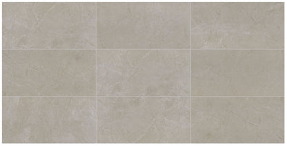 Classentino Marble Coliseum Gray Rectangle 8X24 Textured