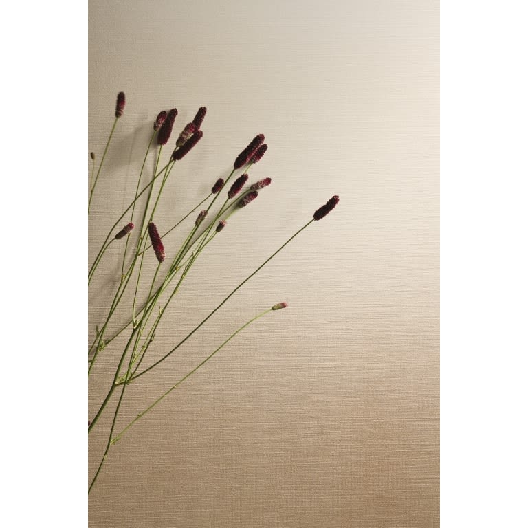 SPECTRA HORIZON MT 20X47