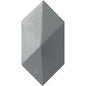PLURIFY DIAMOND FOSSIL GL 5X9