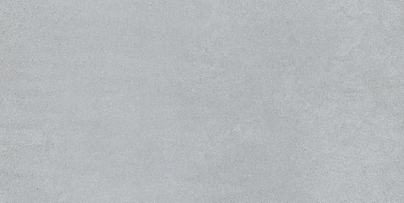 Cohesion Light Grey Rectangle 12X24 Polished