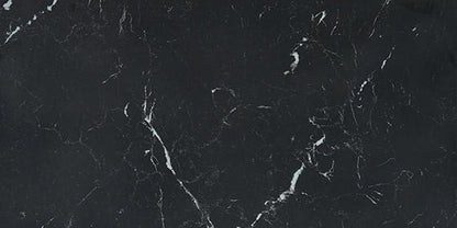 Panoramic Duet Anthracite Rectangle 12X24 Matte
