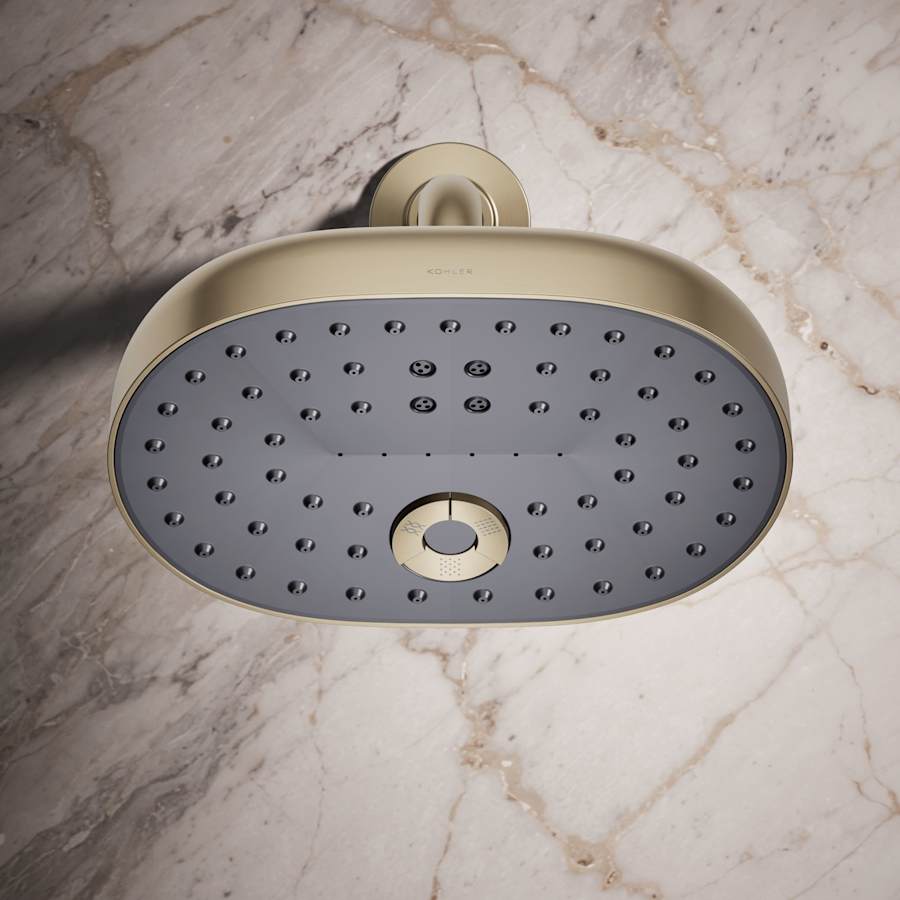 Statement 2.5 GPM Multi Function Shower Head with MasterClean Sprayface and Katalyst Air Induction Technology
