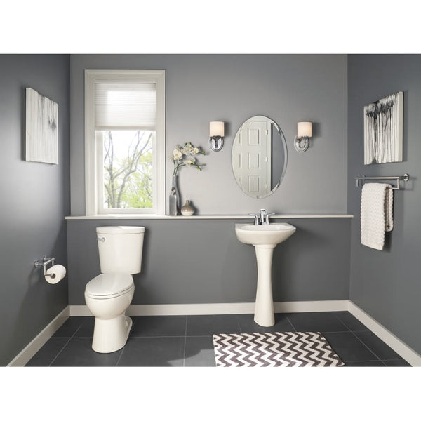 BathSafety Wall Mounted Toilet Paper Holder