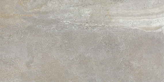 Platinum Shale Rectangle 15X30 Matte