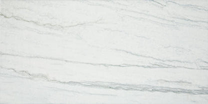 Platinum Oyster Rectangle 12X24 Matte