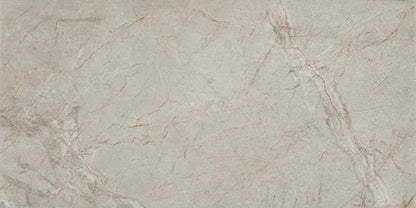 Platinum Quill Rectangle 12X24 Matte