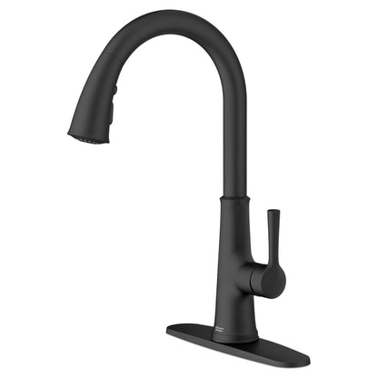 Renate 1.5 GPM Single Hole Pull Down Kitchen Faucet - Includes Escutcheon