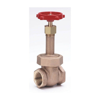 1151 Rising Stem Gate Valve, 1-1/4 in, FNPT, Bronze