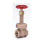 1151 Rising Stem Gate Valve, 2 in, FNPT, Bronze