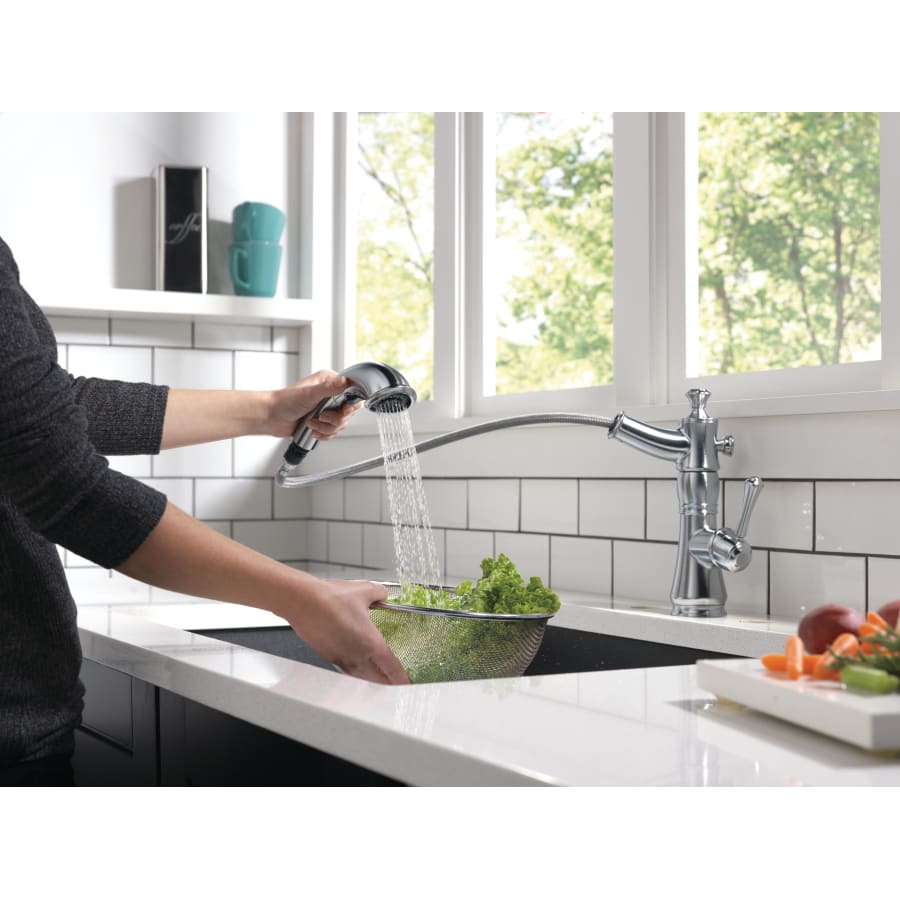 Cassidy Pull-Out Kitchen Faucet - Includes Lifetime Warranty