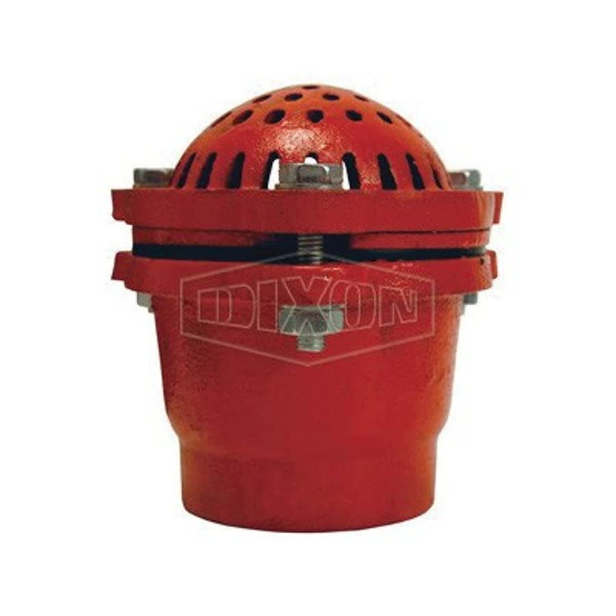 Foot Valve, 3 in, FNPT, Cast Iron