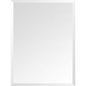 24 in. W x 32 in. H Frameless Rectangular Beveled Edge Bathroom Vanity Mirror in Silver