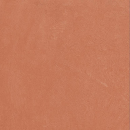 CLAYTONE CORAL MT 24X24