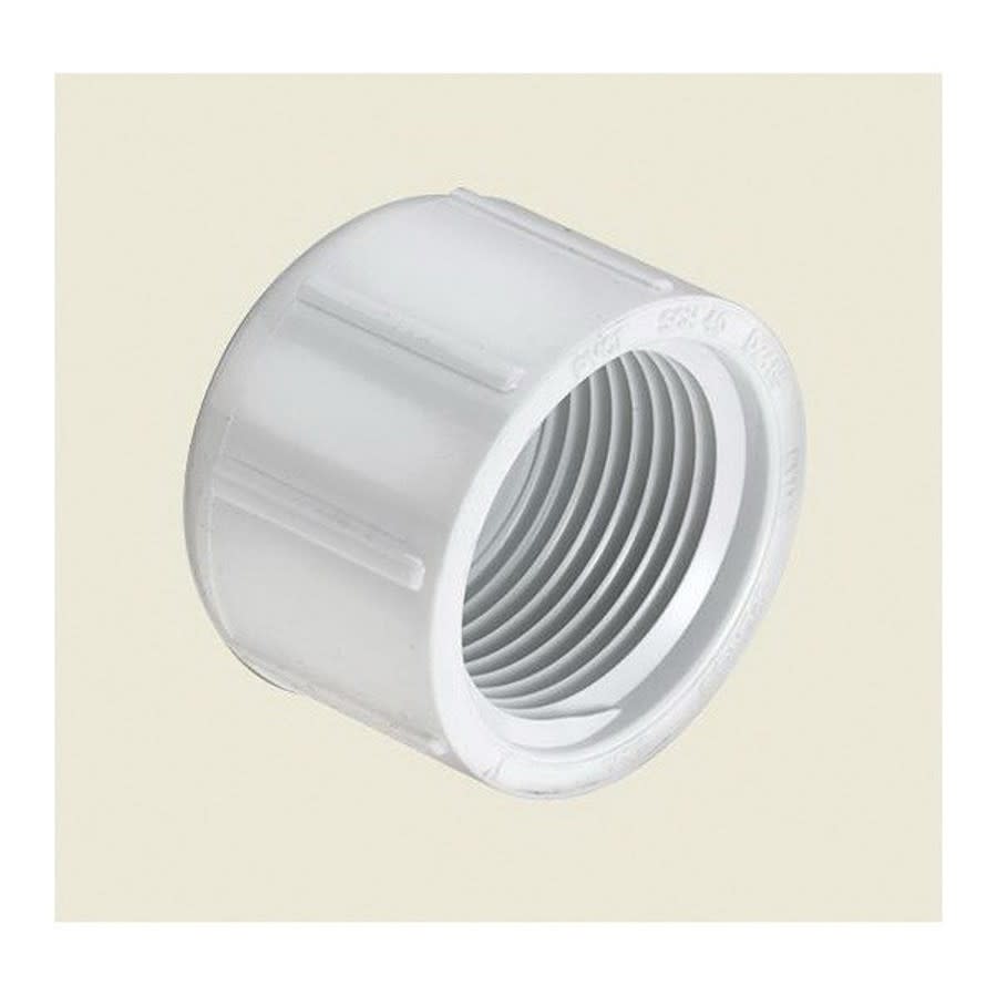 Cap, 3/4 in, FNPT, SCH 40/STD, PVC
