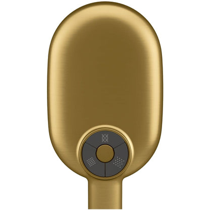 Statement 1.75 GPM Multi Function Hand Shower with MasterClean Sprayface and Katalyst Air Induction Technology