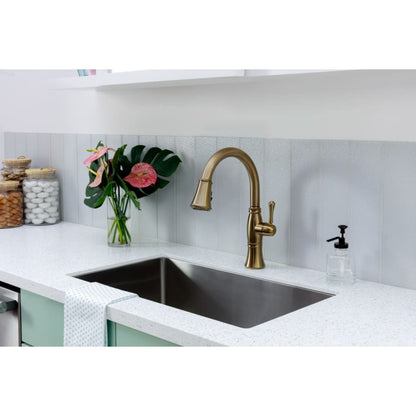 Cassidy Pull-Down Kitchen Faucet with Magnetic Docking Spray Head and ShieldSpray - Includes Lifetime Warranty