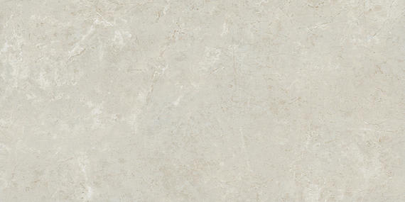 Florentine Argento Rectangle 12X24 Matte