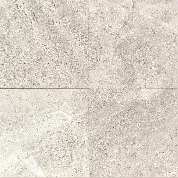 Limestone Arctic Gray Rectangle 12X24 Honed
