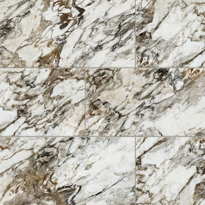 PARKVIEW ASTRAL PL 12X24