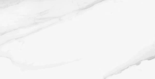 VINCE WHITE PO 24X48R