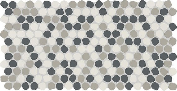 Keystones White Rock Blend Organic Penny 1X1 Matte