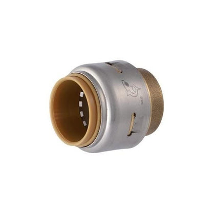 Max™ Cap, 3/4 in, Push, Brass