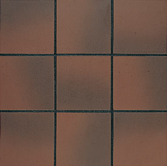 Quarry Naturals Fire Flash Square 8X8 Matte