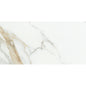 DUCHESSA GOLD PL 12X24 (Discontinued)