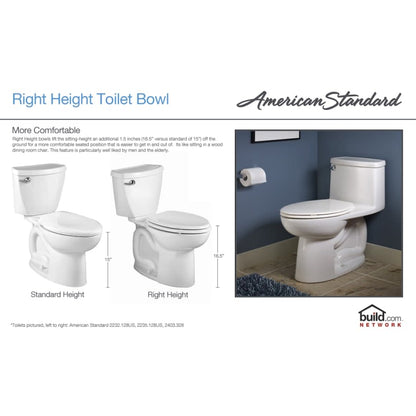 H2Option Elongated Toilet Bowl Only with EverClean Surface, PowerWash Rim and Right Height Bowl