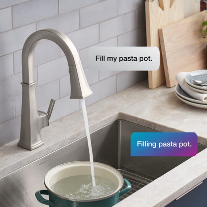 Riff 1.5 GPM Single Hole Pull Down Kitchen Faucet