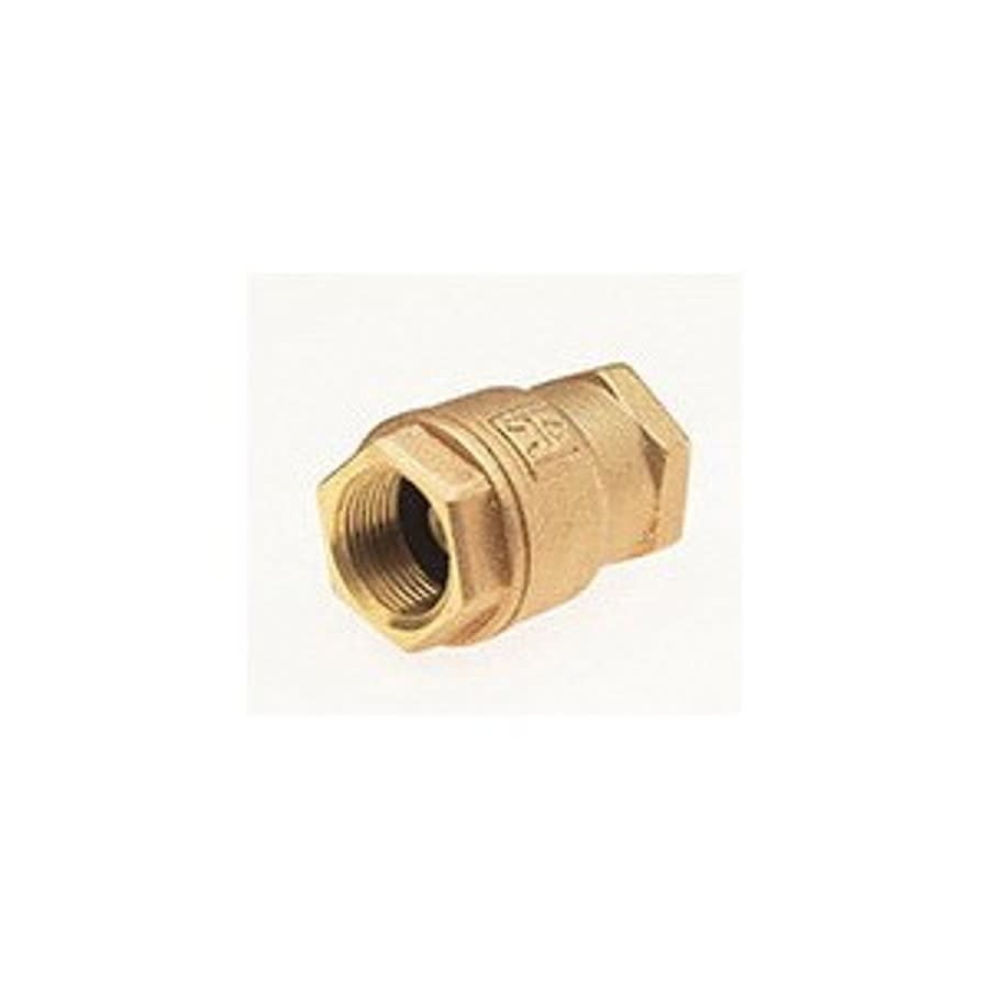 Ultra Pure™ Spring Check Valve, 1-1/2 in, FNPT, Bronze