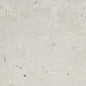 ANVAYA ASTER MT 12X12