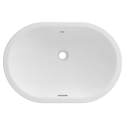 Essence Top/Under Mount Lavatory Sink, ADA, 24-7/8 x 17 x 4-7/8 in, Fireclay, Alpine White
