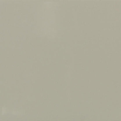 Color Wheel Classic Matte Architectural Gray Square 6X6 Matte