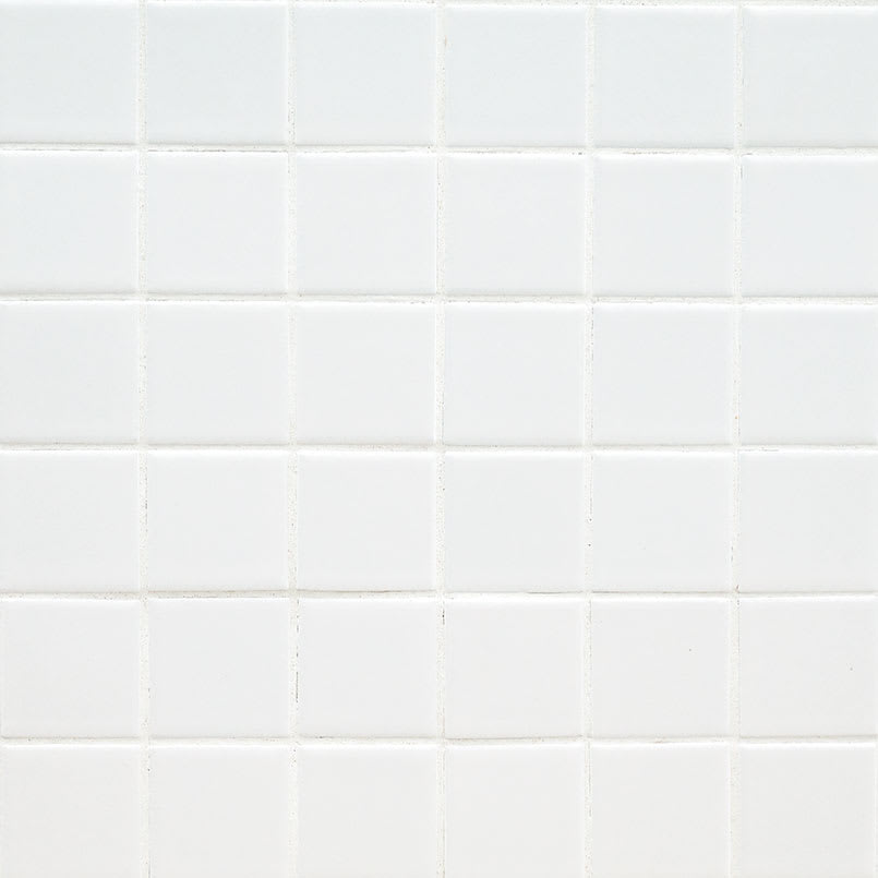 Domino White 2x2 Matte