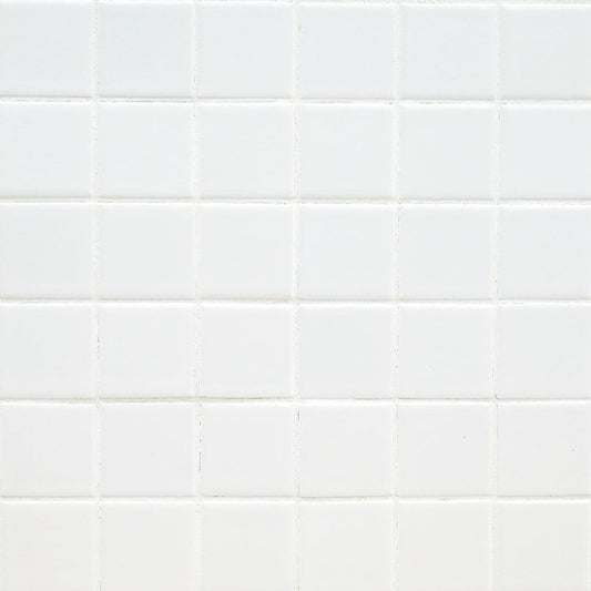 Domino White 2x2 Matte