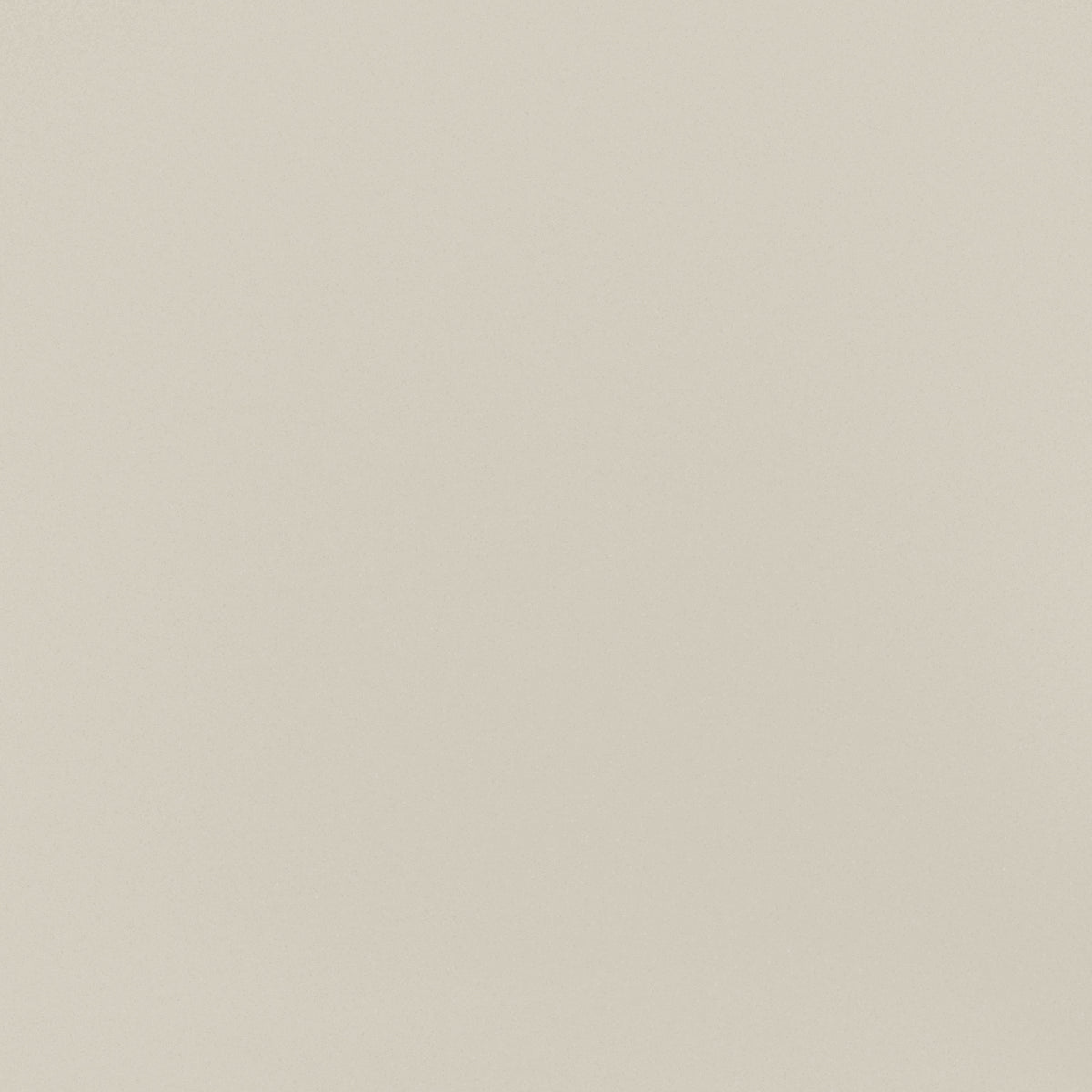 Cohesion Beige Rectangle 24X48 Polished
