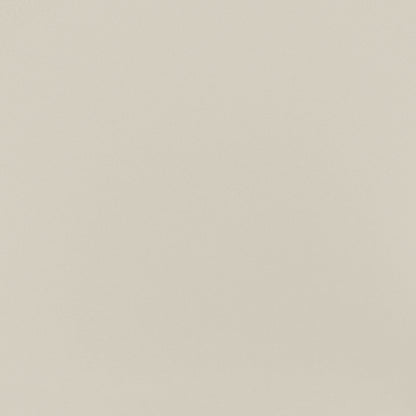 Cohesion Beige Rectangle 24X48 Polished