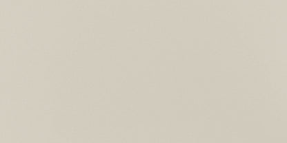 Cohesion Beige Rectangle 24X48 Polished