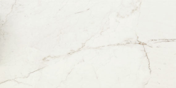 Classentino Marble Palazzo White Rectangle 24X48 Polished