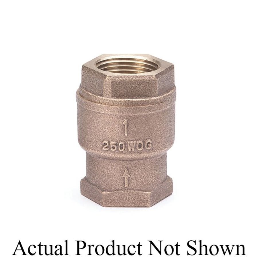 Spring Check Valve, 2 in, FNPT, Bronze