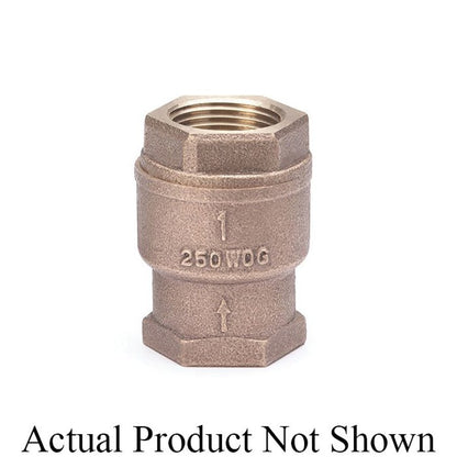 Spring Check Valve, 2 in, FNPT, Bronze