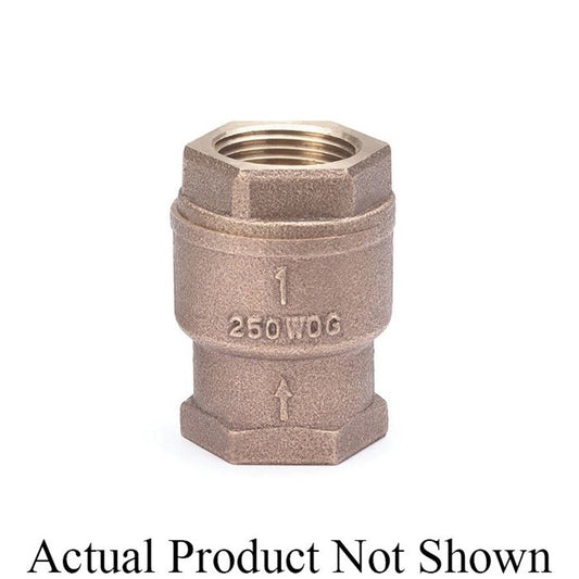 Spring Check Valve, 2 in, FNPT, Bronze