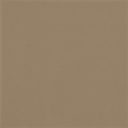 Color Wheel Classic Matte Elemental Tan Square 6X6 Matte