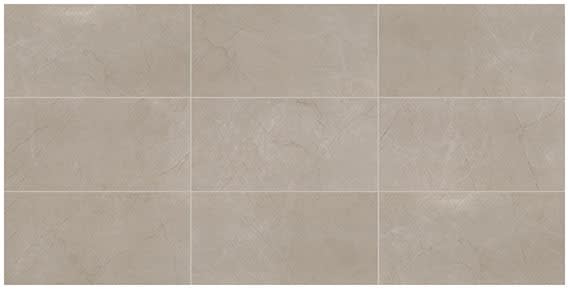 Classentino Marble Coliseum Gray Rectangle 24X48 Polished