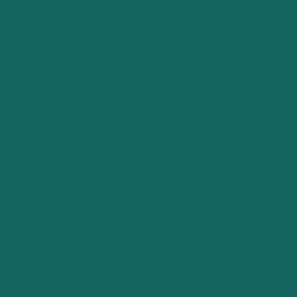 Color Wheel Retro Peacock Chevron 2X3 Glossy