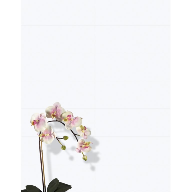VERTIGO WHITE 10X30