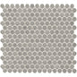 SAVVY SILVER GL PENNY/MO