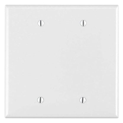 White 2-Gang Blank Plate Wall Plate (1-Pack)