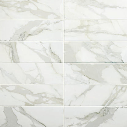Platinum Magnolia Rectangle 6X18 Glossy